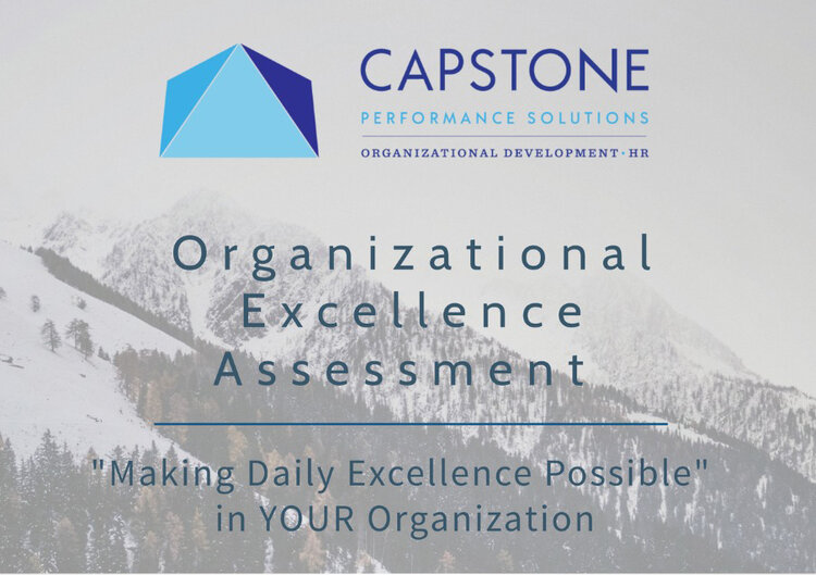Organizational Excellence Assessment